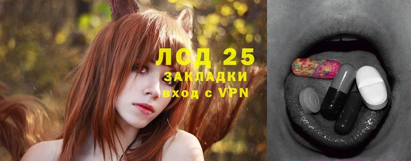 прущие грибы Горно-Алтайск
