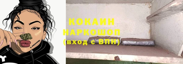 прущие грибы Горно-Алтайск