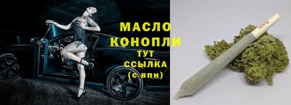 прущие грибы Горно-Алтайск