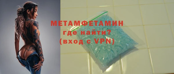 прущие грибы Горно-Алтайск