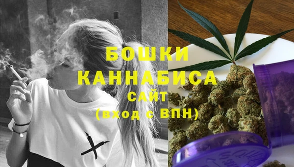 прущие грибы Горно-Алтайск