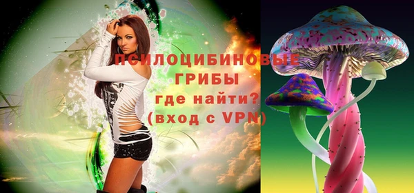мяу мяу мука Гусь-Хрустальный