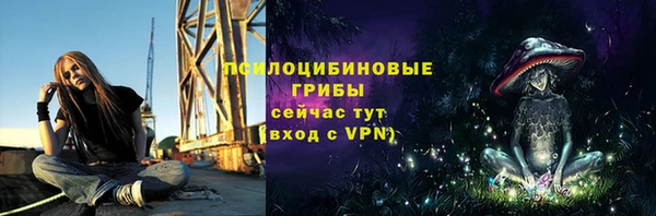 прущие грибы Горно-Алтайск