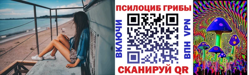 где купить наркоту  Давлеканово  Псилоцибиновые грибы MAGIC MUSHROOMS 